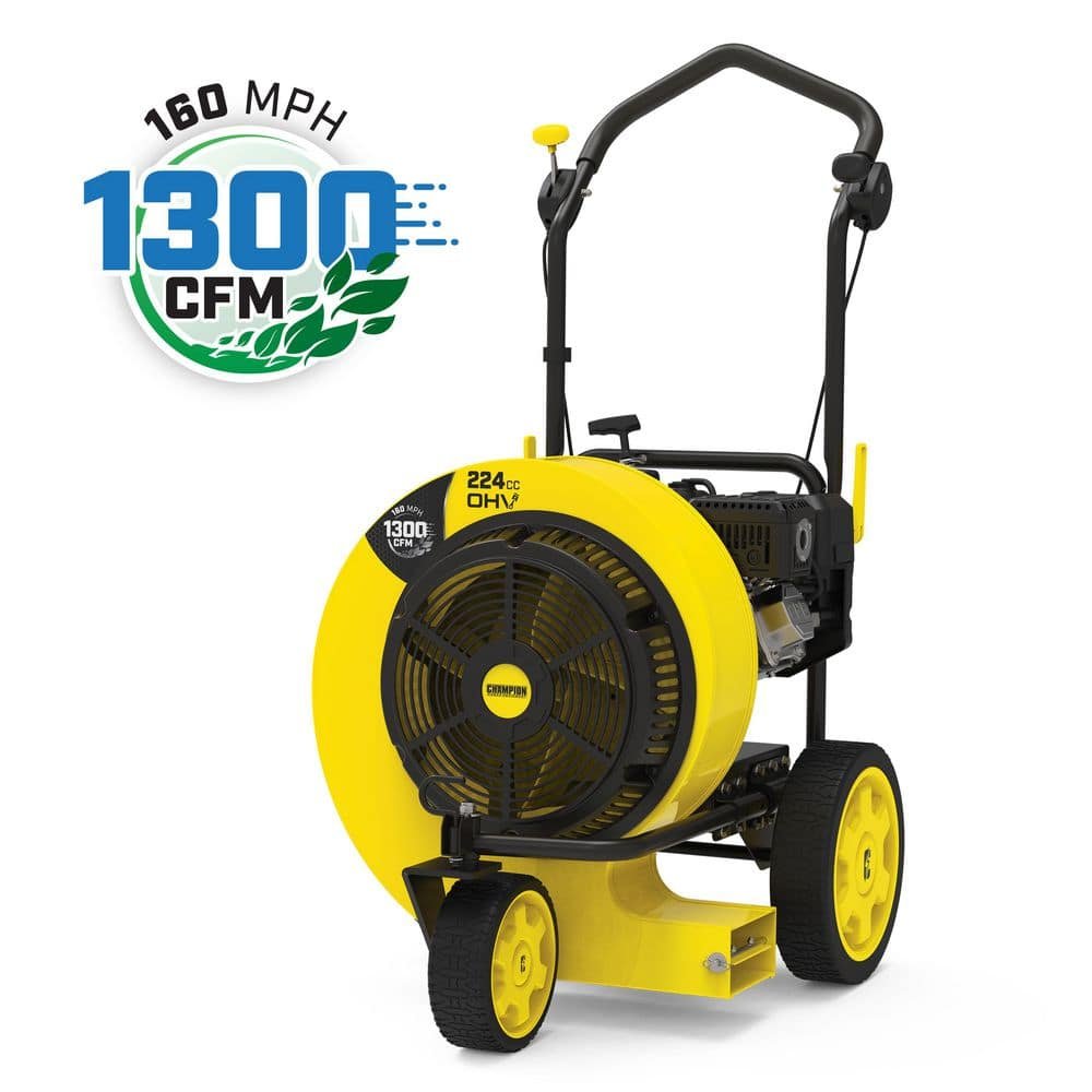 Champion Power Equipment 160 MPH Leaf Blower